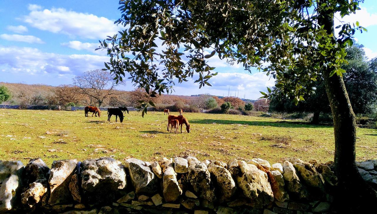 Masseria Iazzo Scagno Мартина-Франка Экстерьер фото