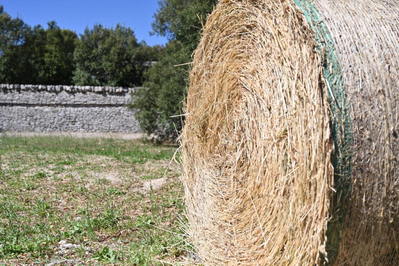 Masseria Iazzo Scagno Мартина-Франка Экстерьер фото